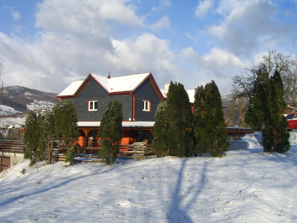Penzion Tajch Nova Bana Luaran gambar